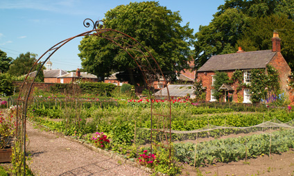 The Kitchen Garden The Kitchen Garden